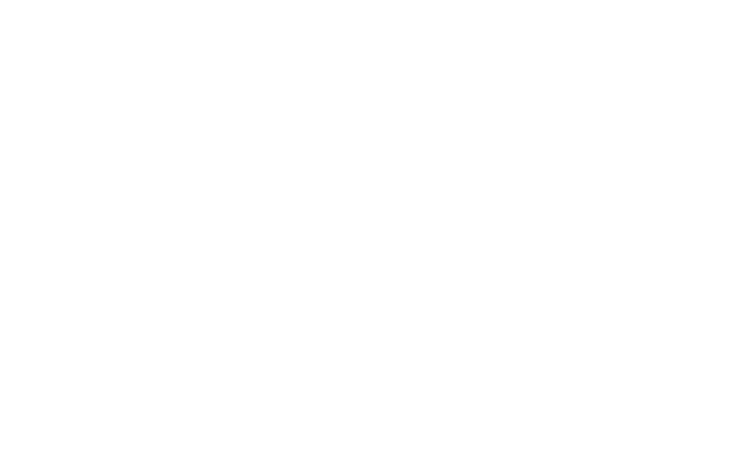 Il professor Cenerentolo 