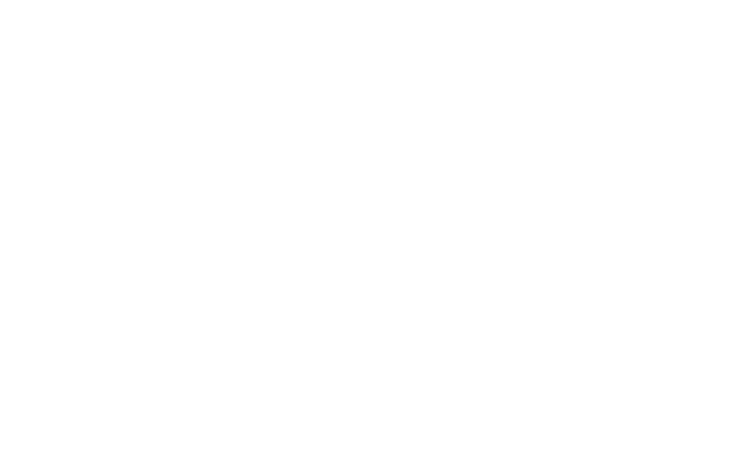 The Walf Of Wall Street